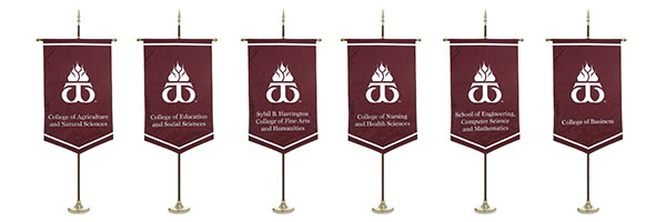 University Gonfalons